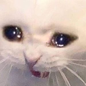 Meet your Posher, Jack